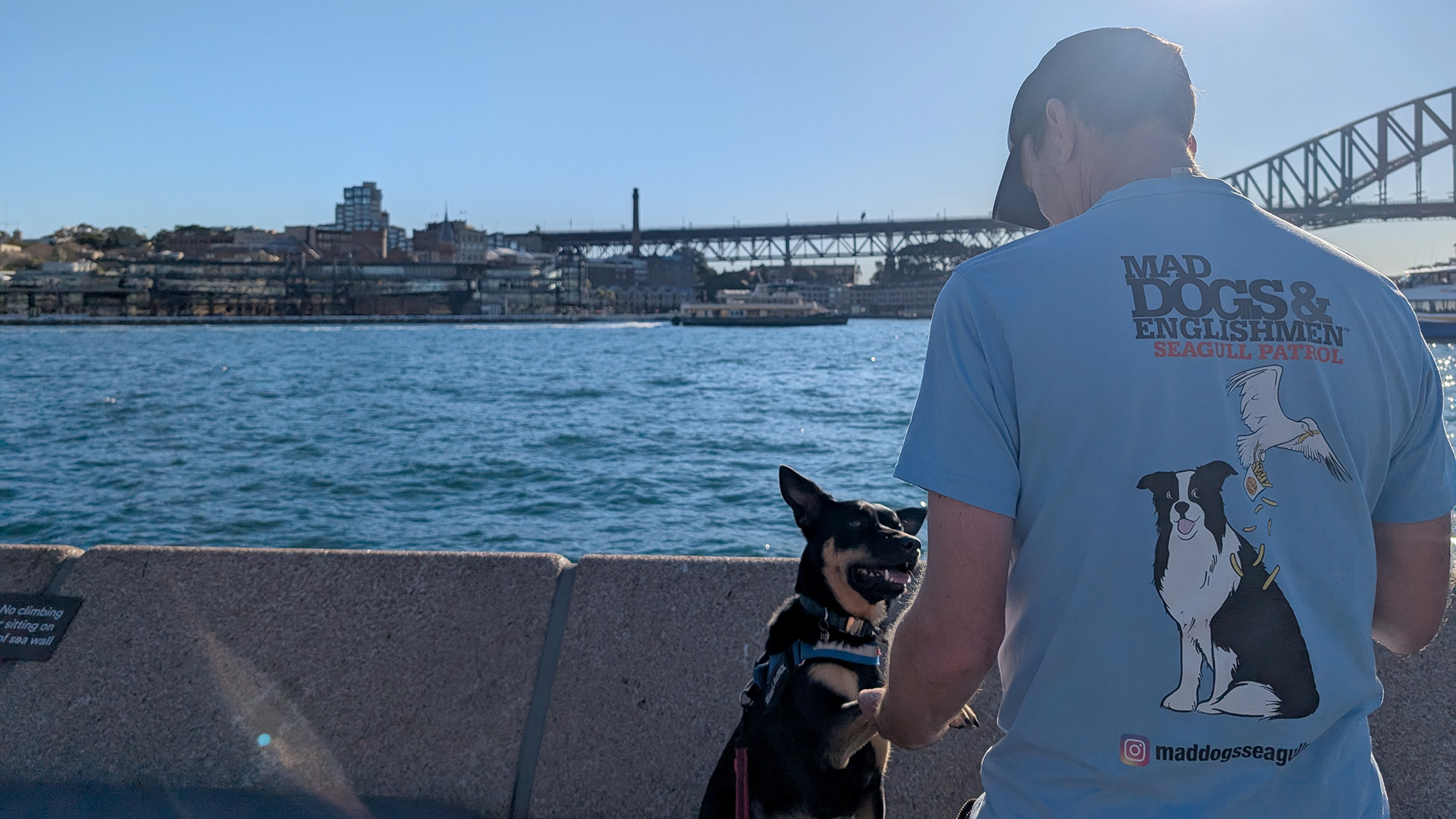 Person training dog