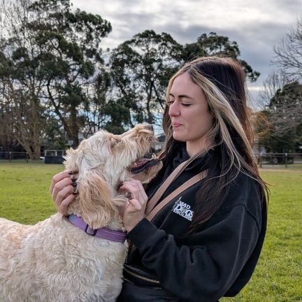 Mad Dogs Chatswood Dog Walker