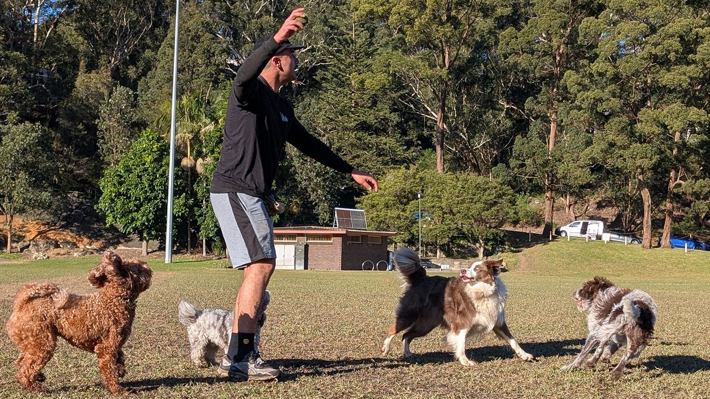 Franchisee playing with dogs