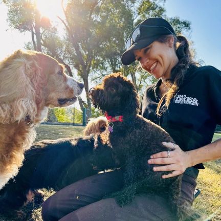 Happy Brisbane Dogs