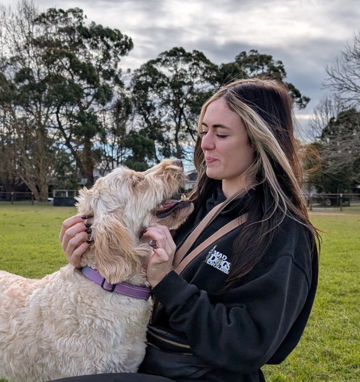 .Mad Dogs Chatswood Dog Walker