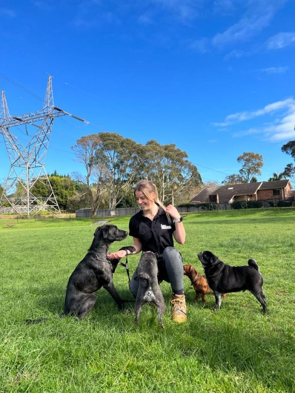 .Darcy Asquith & Wahroonga Dog Walker