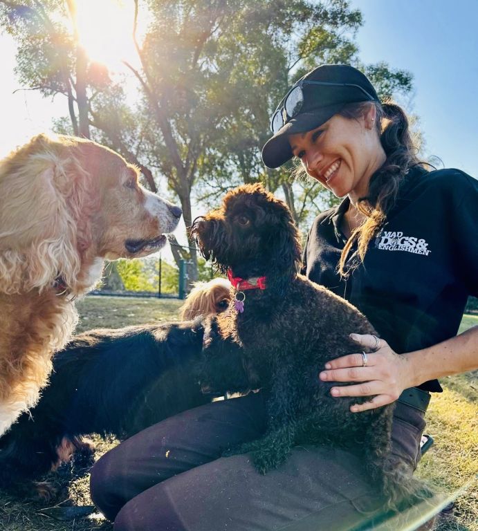 .Happy Brisbane Dogs