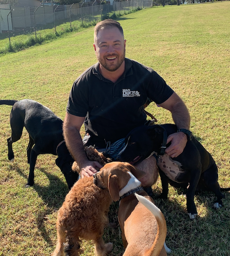 .Dog Walking & Doggy Daycare Inner West