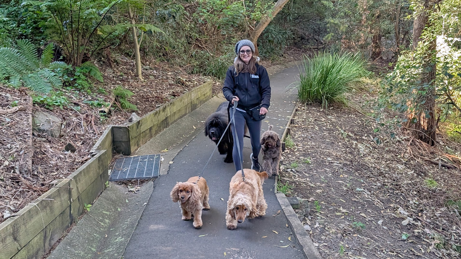Walking four dogs on leash